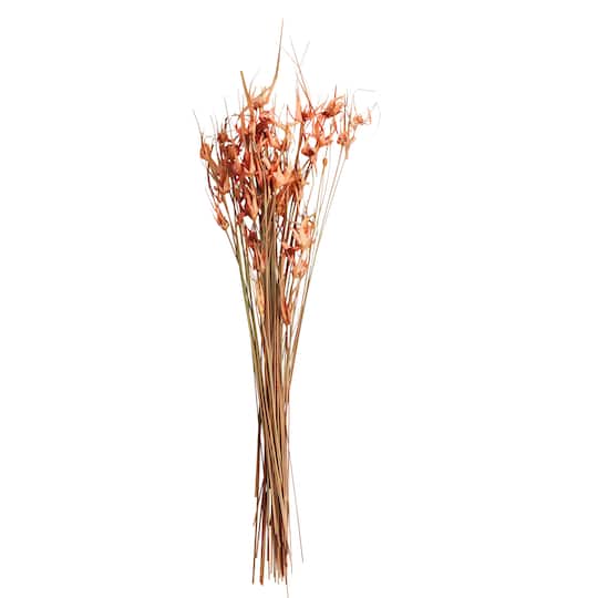 8 Pack: Mauve Star Grass Bundle by Ashland&#xAE;